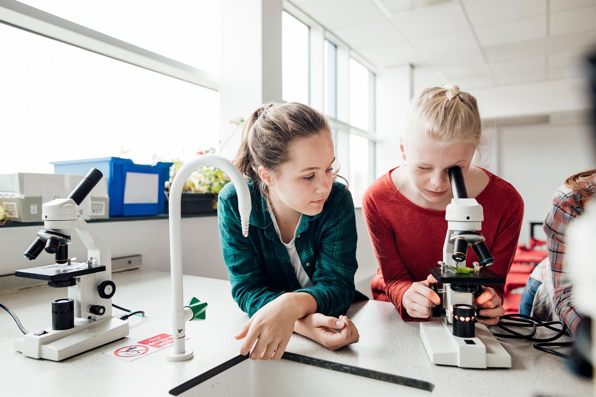 Étudiants-regardant-dans-un-microscope